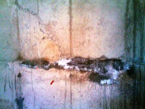 Leak Repair by Crystallisation