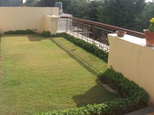 Terrace Garden.1