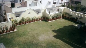 Terrace Garden