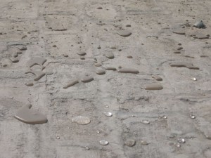 Treated Brick tiled terrace without uprooting them