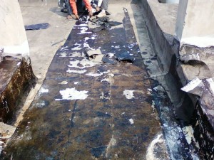 Water.under.APP.Membrane